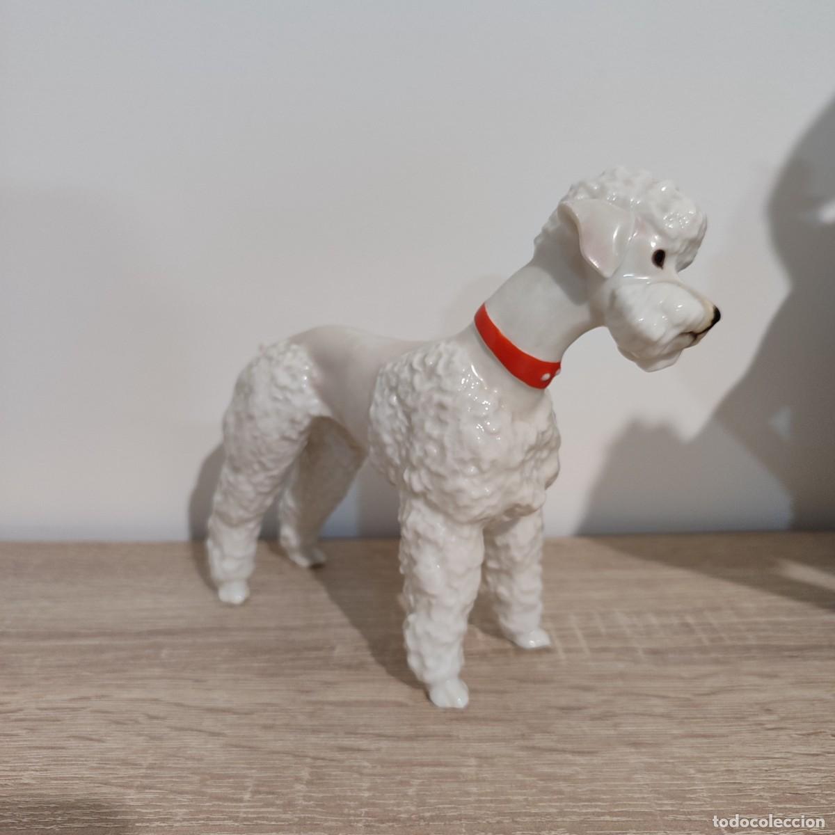 Antig&uuml;edades: Hutschenreuther perrita caniche correa roja - Foto 2