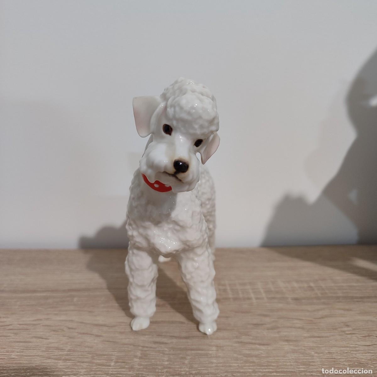 Antig&uuml;edades: Hutschenreuther perrita caniche correa roja - Foto 3
