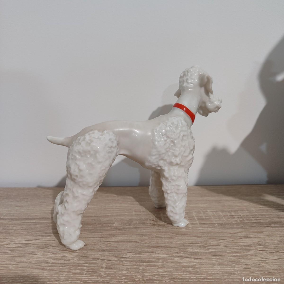 Antig&uuml;edades: Hutschenreuther perrita caniche correa roja - Foto 4