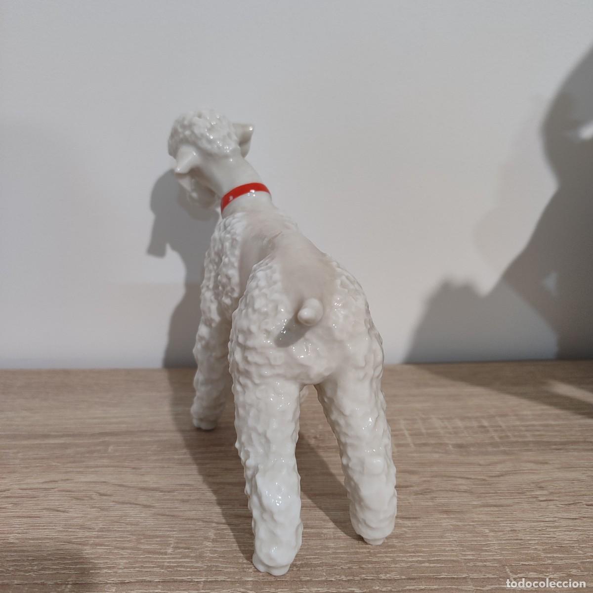 Antig&uuml;edades: Hutschenreuther perrita caniche correa roja - Foto 5