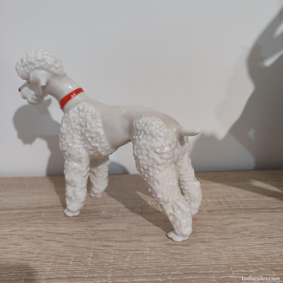 Antig&uuml;edades: Hutschenreuther perrita caniche correa roja - Foto 6