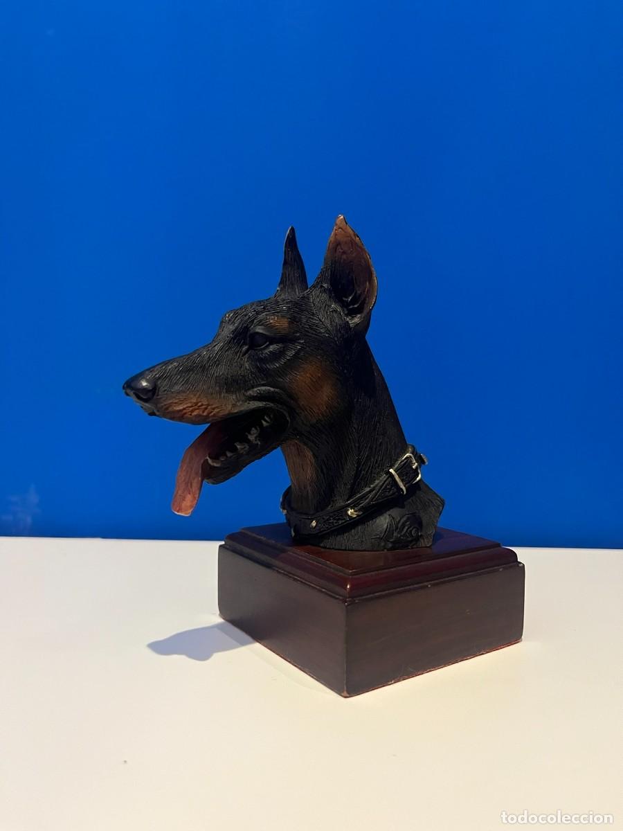 Antig&uuml;edades: Busto de perro Doberman en resina sobre peana de madera - Firma Nico - Circa 1980-1990