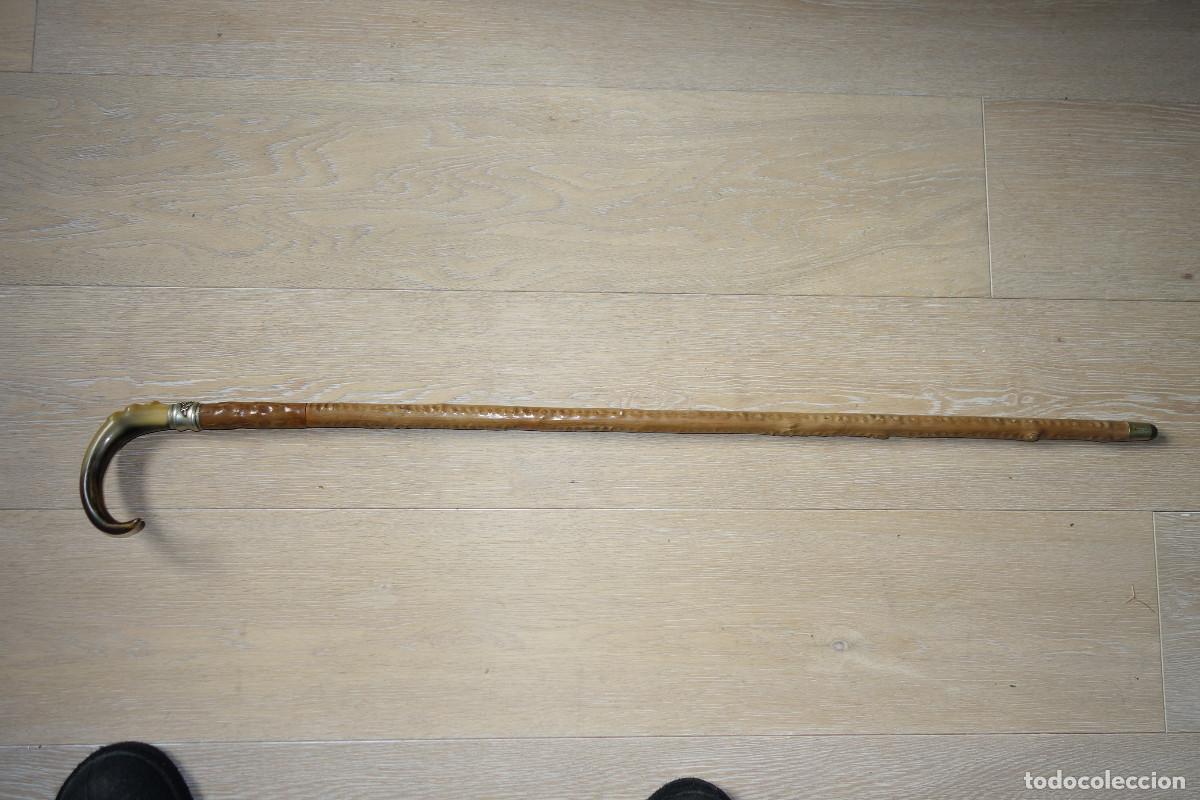 Antig&uuml;edades: Baston bois de ronce corne Tol&egrave;de