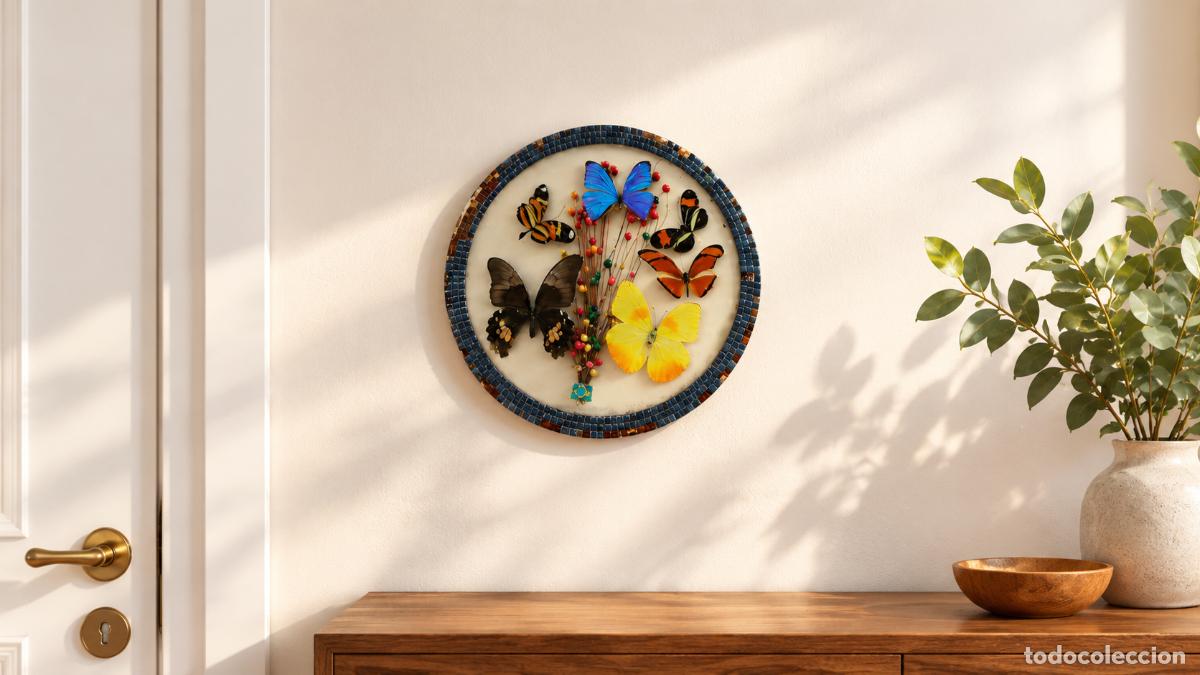 Antiquit&eacute;s: Cuadro Entomol&oacute;gico Vintage con 6 Mariposas Naturales &ndash; Brasil, a&ntilde;os 60/70 - Muy Raro
