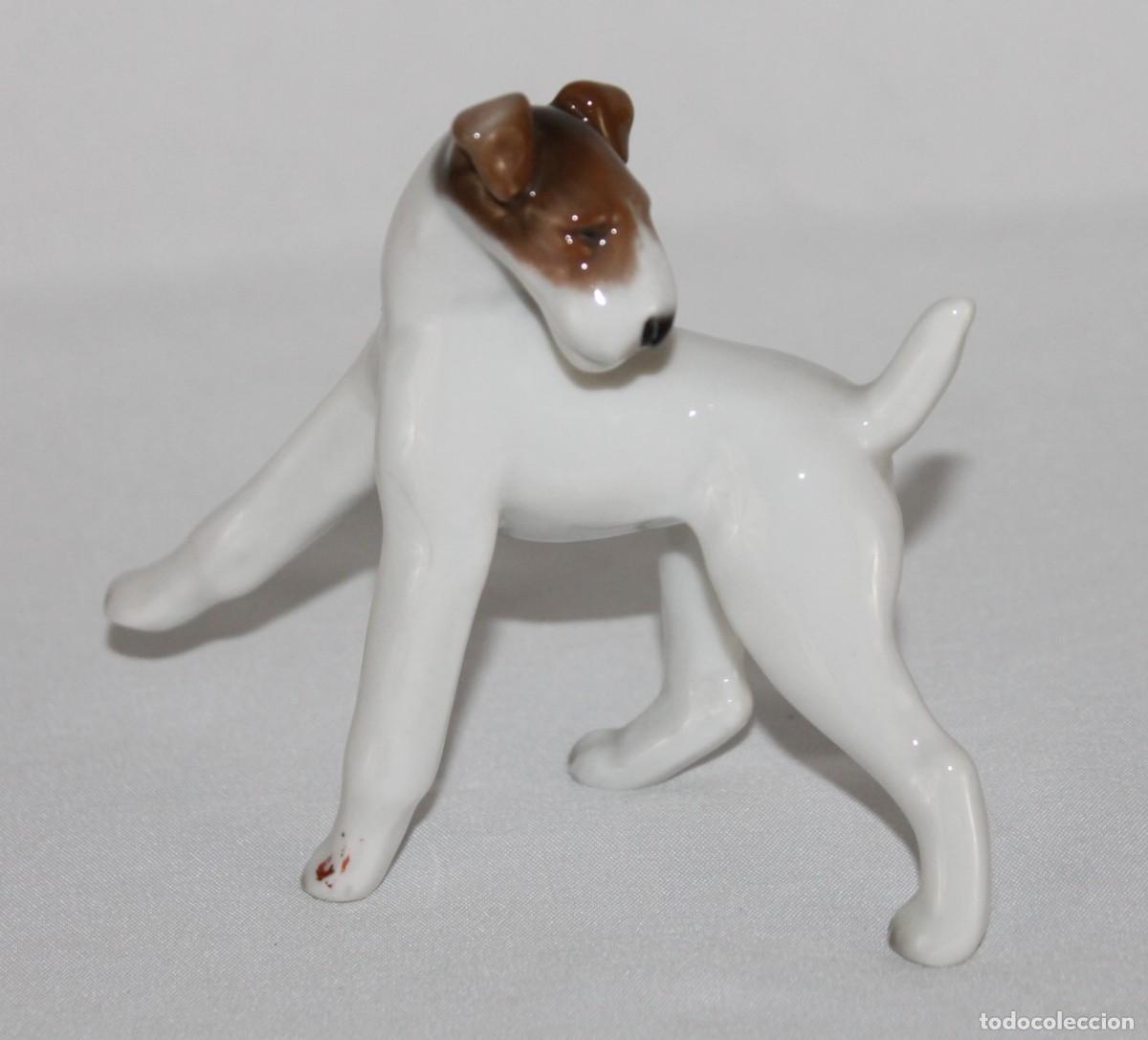 Antig&uuml;edades: Figura de porcelana alemana Rosenthal representando un perro Fox Terrier