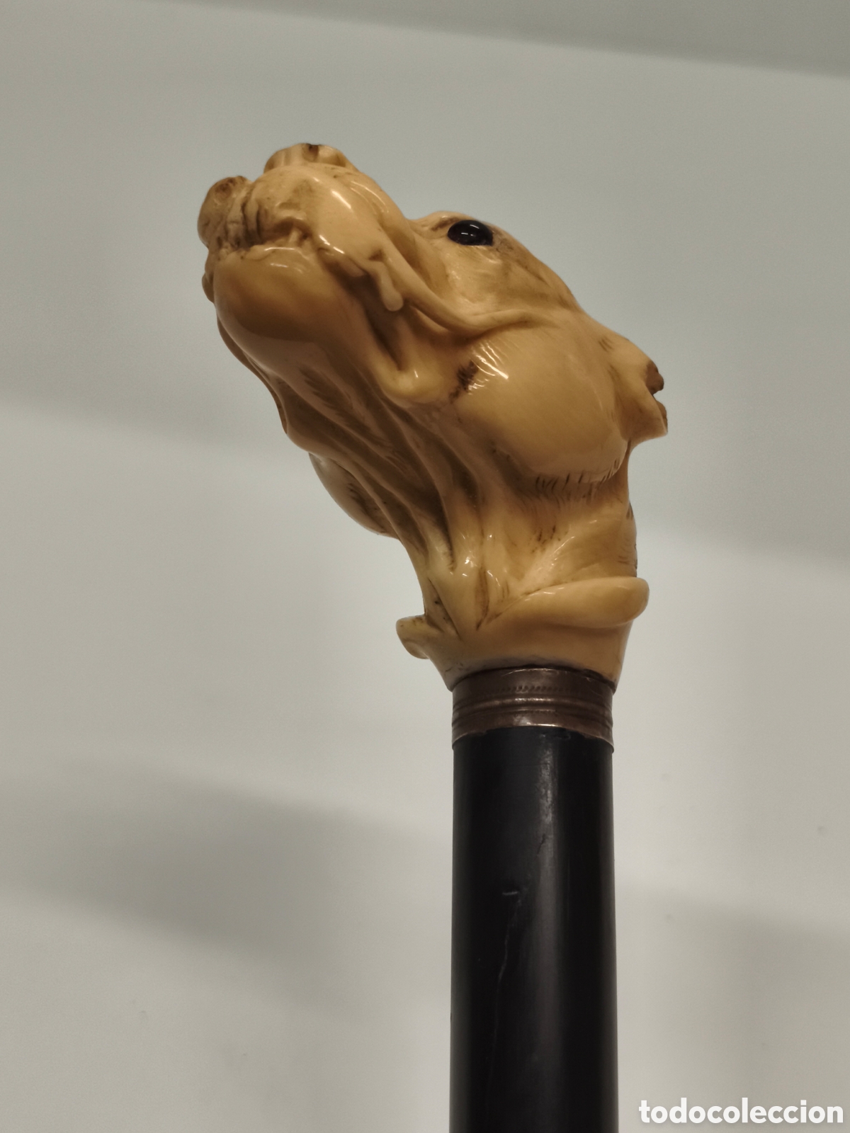 Antig&uuml;edades: Antiguo Bast&oacute;n cabeza de perro Marfl &Eacute;bano - Foto 7