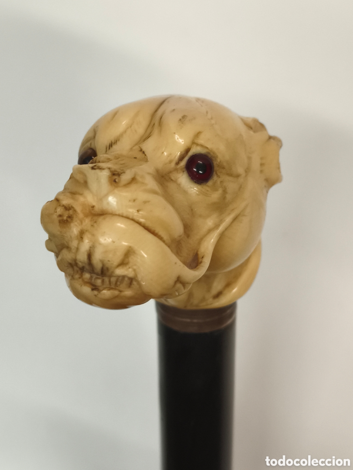 Antig&uuml;edades: Antiguo Bast&oacute;n cabeza de perro Marfl &Eacute;bano - Foto 8