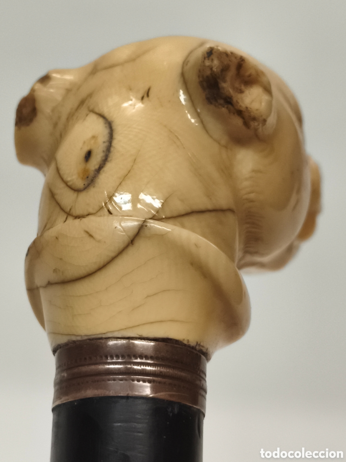 Antig&uuml;edades: Antiguo Bast&oacute;n cabeza de perro Marfl &Eacute;bano - Foto 11
