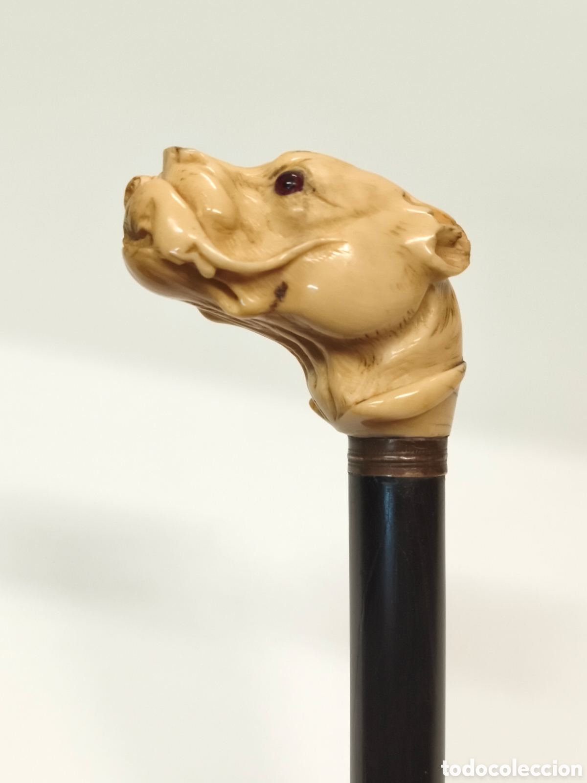 Antig&uuml;edades: Antiguo Bast&oacute;n cabeza de perro Marfl &Eacute;bano