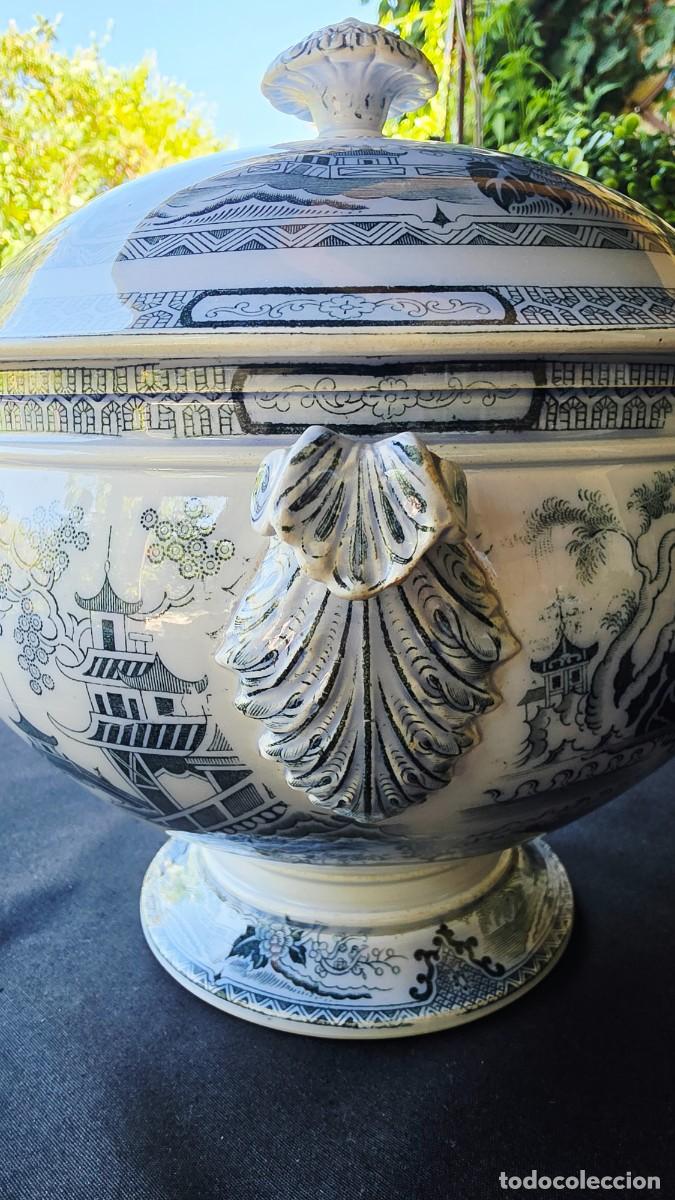 Antig&uuml;edades: Sopera Vintage Villeroy & Boch Azul y Blanca con Tapa y Cuchar&oacute;n en Loza Cl&aacute;sica Chinoiserie