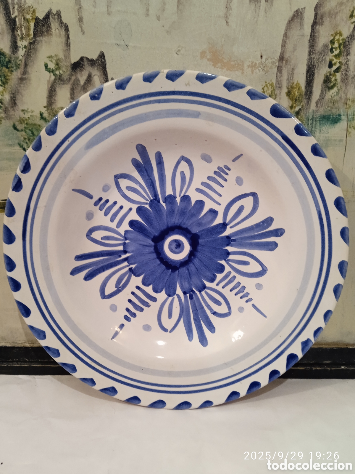 Antig&uuml;edades: Plato de cer&aacute;mica decorativo de estilo tradicional azul y blanco