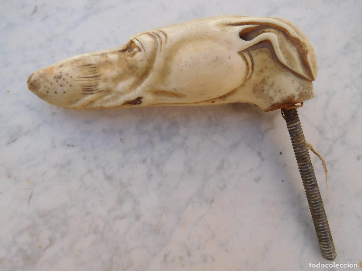 Antig&uuml;edades: Mango o asidero antiguo de marfil para bast&oacute;n cabeza de perro