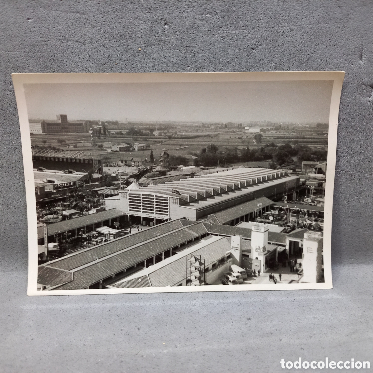 Antig&uuml;edades: Antigua fotograf&iacute;a. Fiestas Pilar, feria Pilares, Romareda, Antiguo seminario, y + a&ntilde;os 60