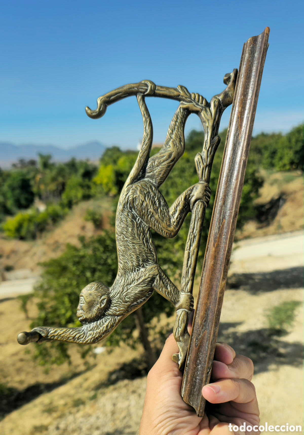 Antig&uuml;edades: Antiguo perchero bronce S-XIX