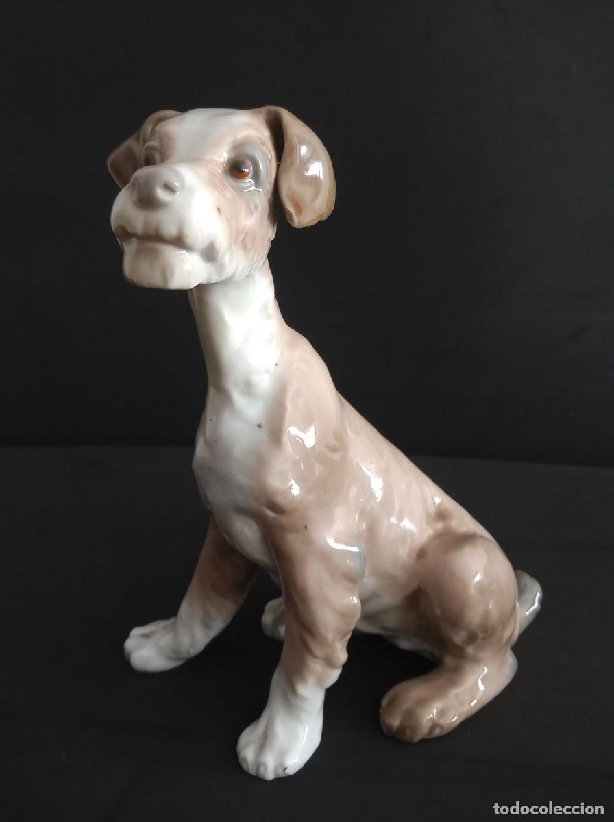 Antig&uuml;edades: FIGURA LLADR&Oacute; PERRO SENTADO PORCELANA 19 CM