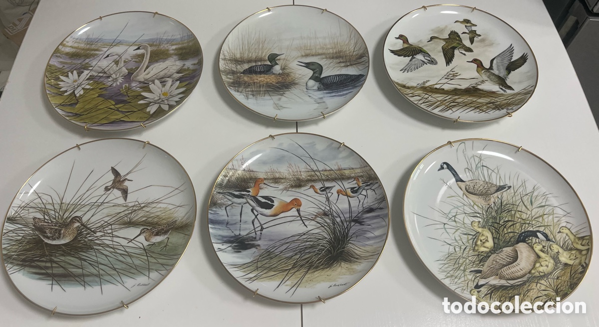 Antig&uuml;edades: Colecci&oacute;n 6 platos decorativos Royal Kent &ndash; Los Habitantes del Bosque