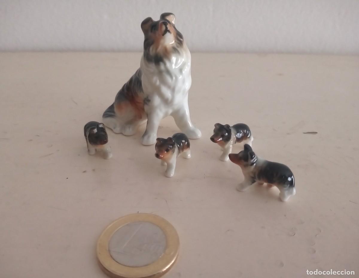 Antig&uuml;edades: SET MINIATURAS PERROS COLLIE BONE CHINA VINTAGE