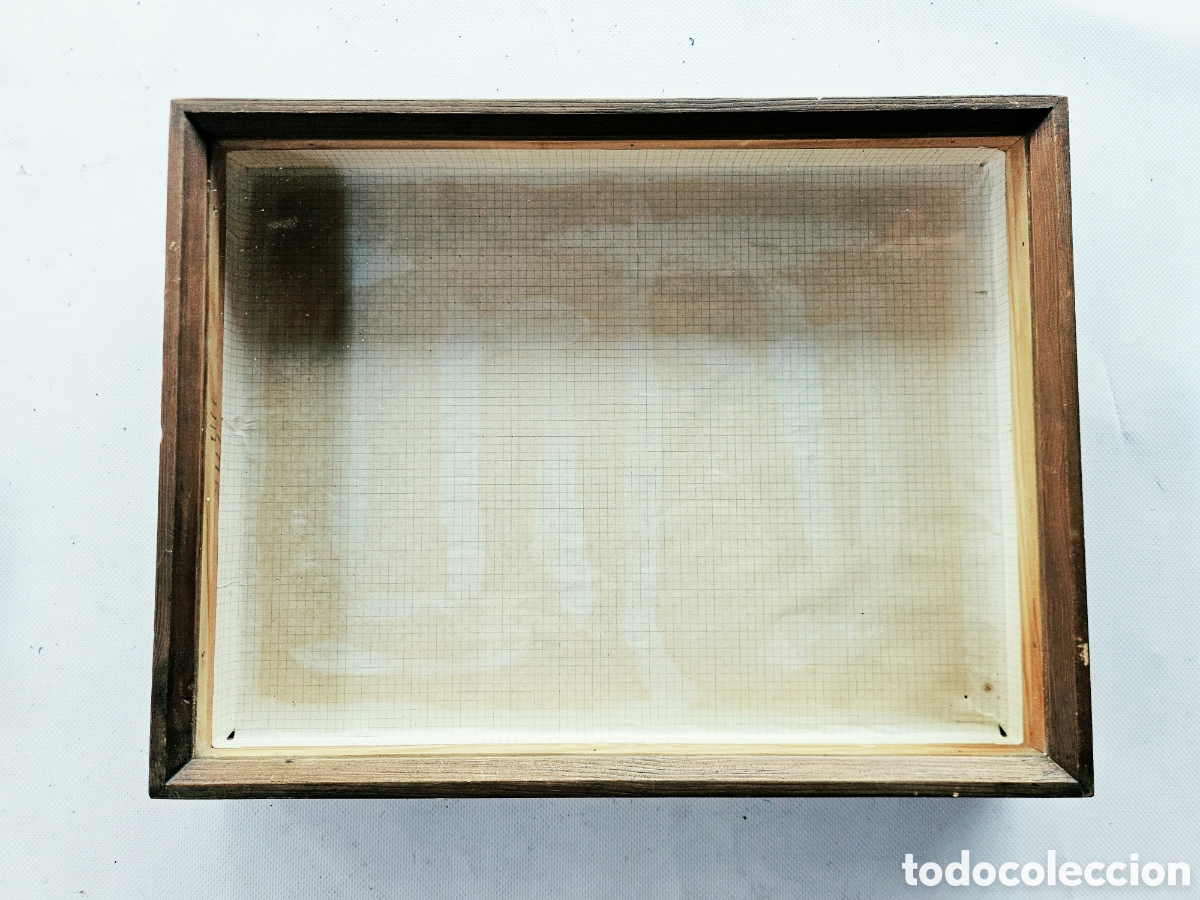 Antig&uuml;edades: Vitrina Expositora de Madera y Cristal para Coleccionistas