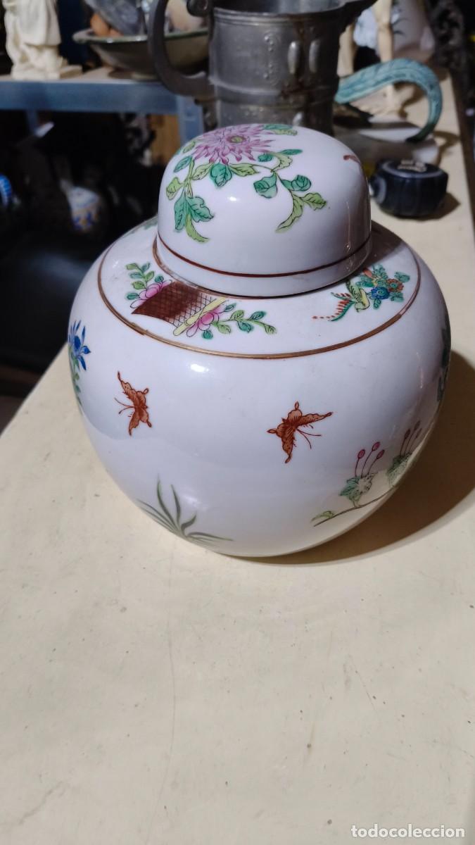 Antig&uuml;edades: Pot a gingembre porcelaine fine hong Kong sign&eacute;e jian cian