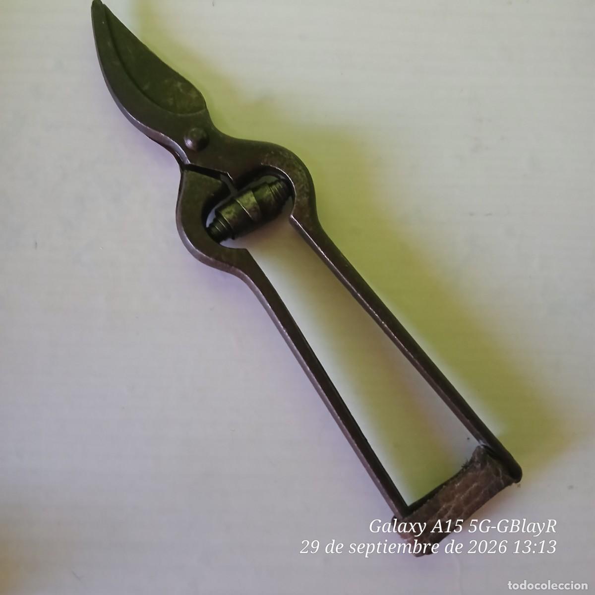 Antig&uuml;edades: Antigua tijera de podar. 18,5 cm.