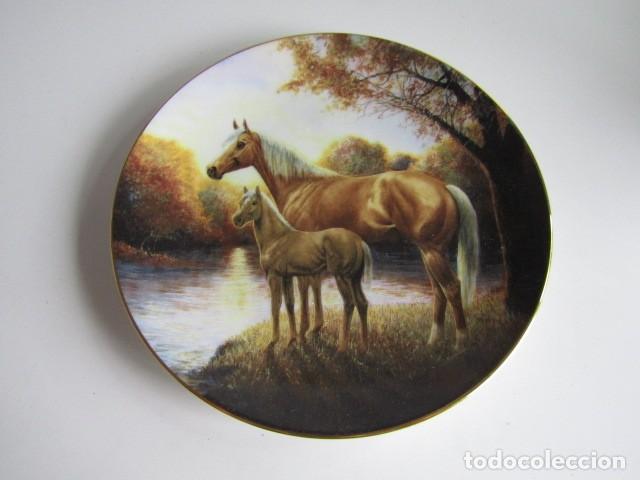 Antig&uuml;edades: PRECIOSO PLATO DECORATIVO PORCELANA INGLESA THE HAMILTON COLLECTION SERIE CABALLOS - TITULO AUTUMN