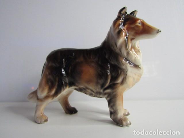 Antig&uuml;edades: PRECIOSO PERRO COLLIE DE PELO LARGO PORCELANA INGLESA
