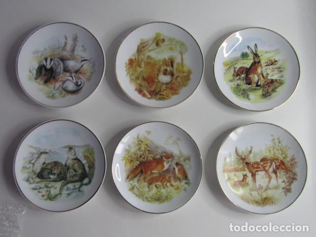 Antig&uuml;edades: PRECIOSO JUEGO DE 6 PLATOS DE PORCELANA VINTAGE INGLESA SUSAN BERESFORD &rdquo;SERIE WILDLIFE OF BRITAIN&rdquo;