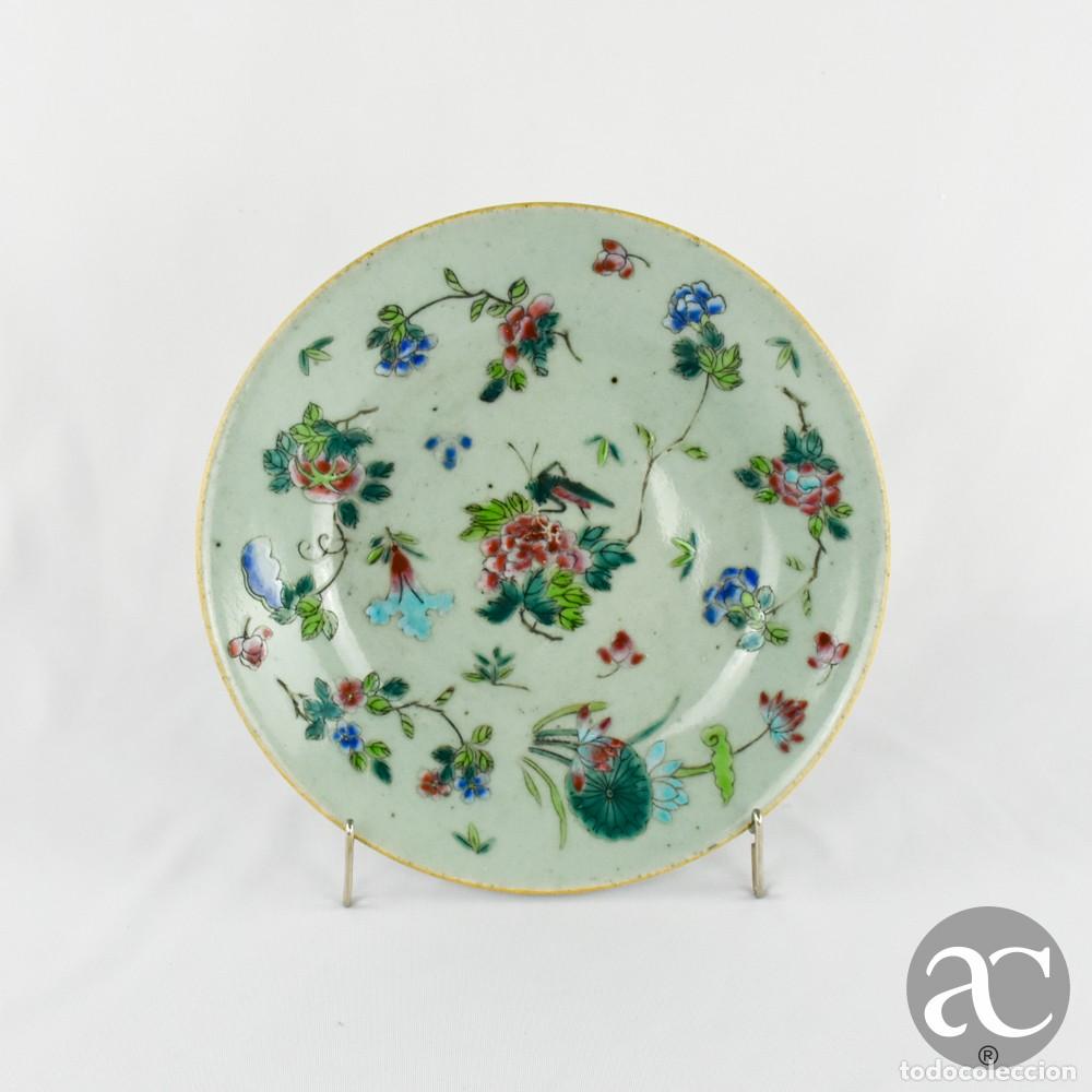 Antig&uuml;edades: Prato Celadon, porcelana da China, Dinastia Qing, segunda metade do s&eacute;c. XIX