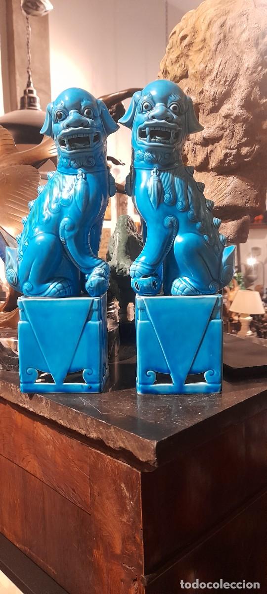 Antig&uuml;edades: PERROS FOO DE PORCELANA AZUL ALTURA 32 CM