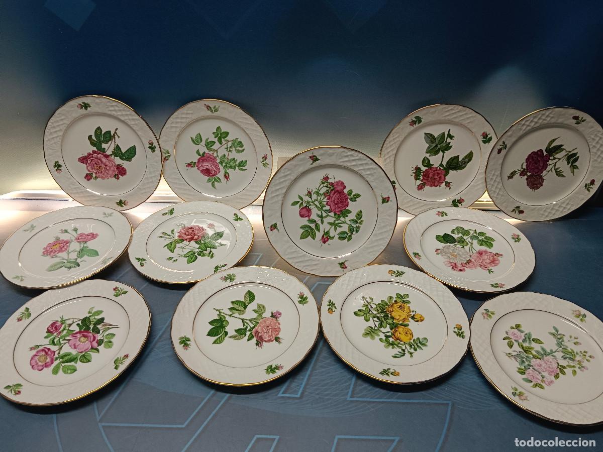 Antig&uuml;edades: Lote 12 platos, coleccion ROYAL KENT, LES ROSES CLASSIQUES, PIERRE JOSEPH REDOUTE