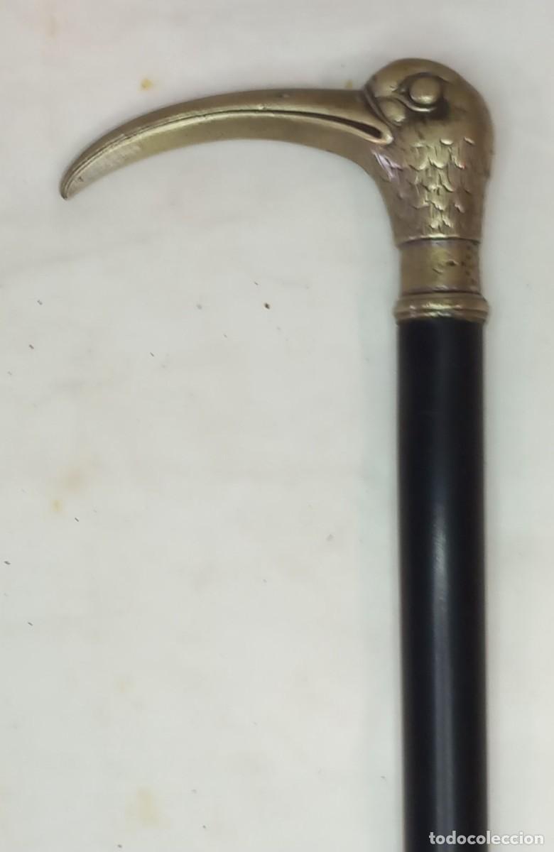 Antig&uuml;edades: ANTIGUO Y ELEGANTE BASTON MADERA CON PUNTERA METALICA Y EMPU&Ntilde;ADURA CON FORMA DE CABEZA DE AVE KIWI