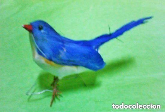 Antig&uuml;edades: pajaro artificial con plumas - de las monas de pascua catalunya - algo sucio oxido a&ntilde;os 80 9x6cm .