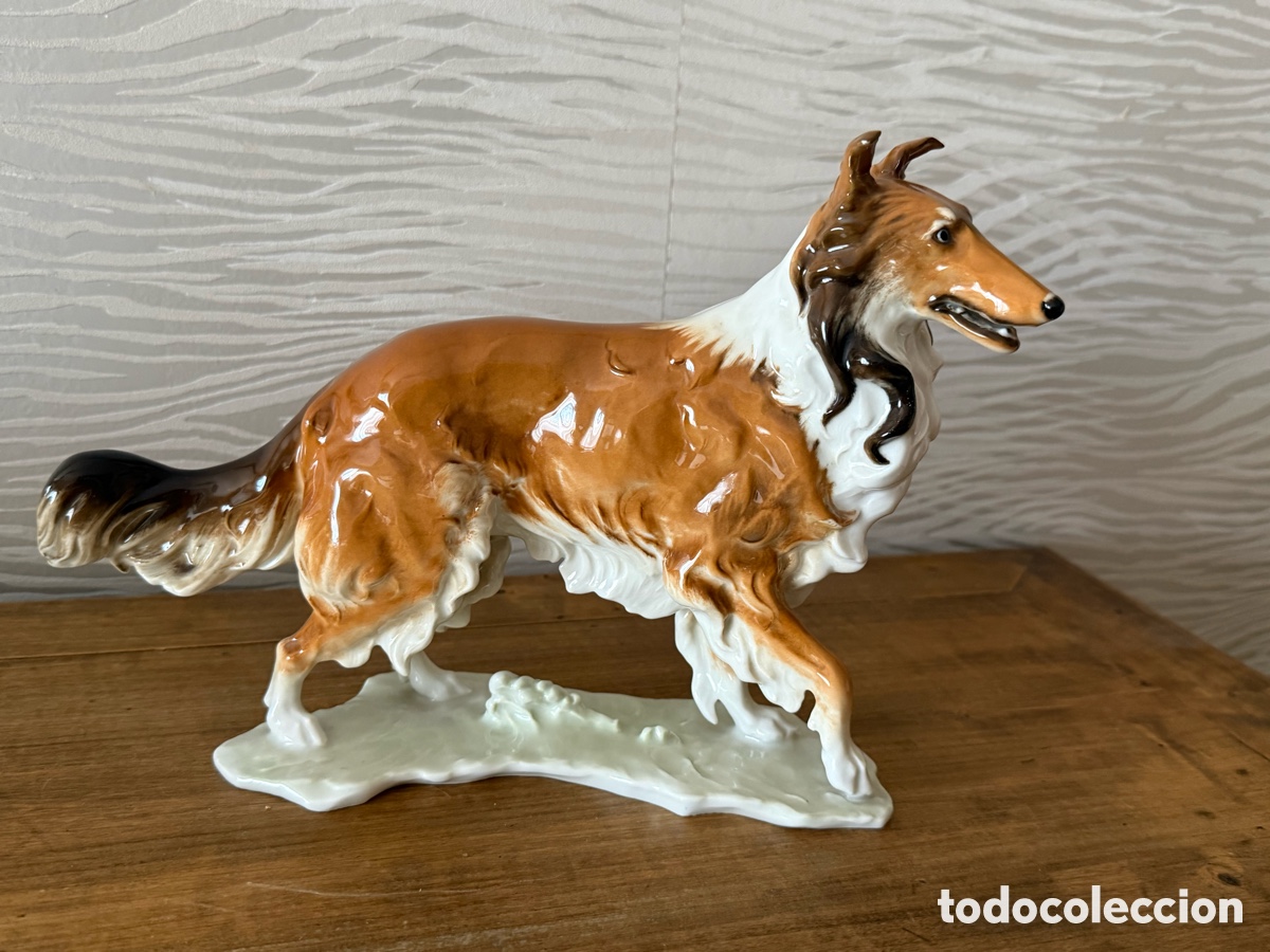 Antig&uuml;edades: Porcelana PERRO COLLIE. Lorenz Hutschenreuther AG (Selb, Baviera, Alemania).