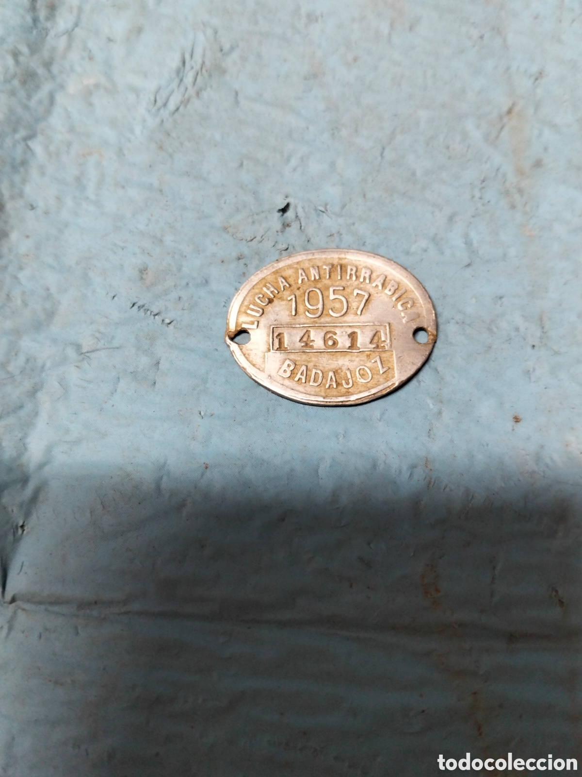 Antig&uuml;edades: ANTIGUA PLACA DE PERRO DE BADAJOZ - Foto 2