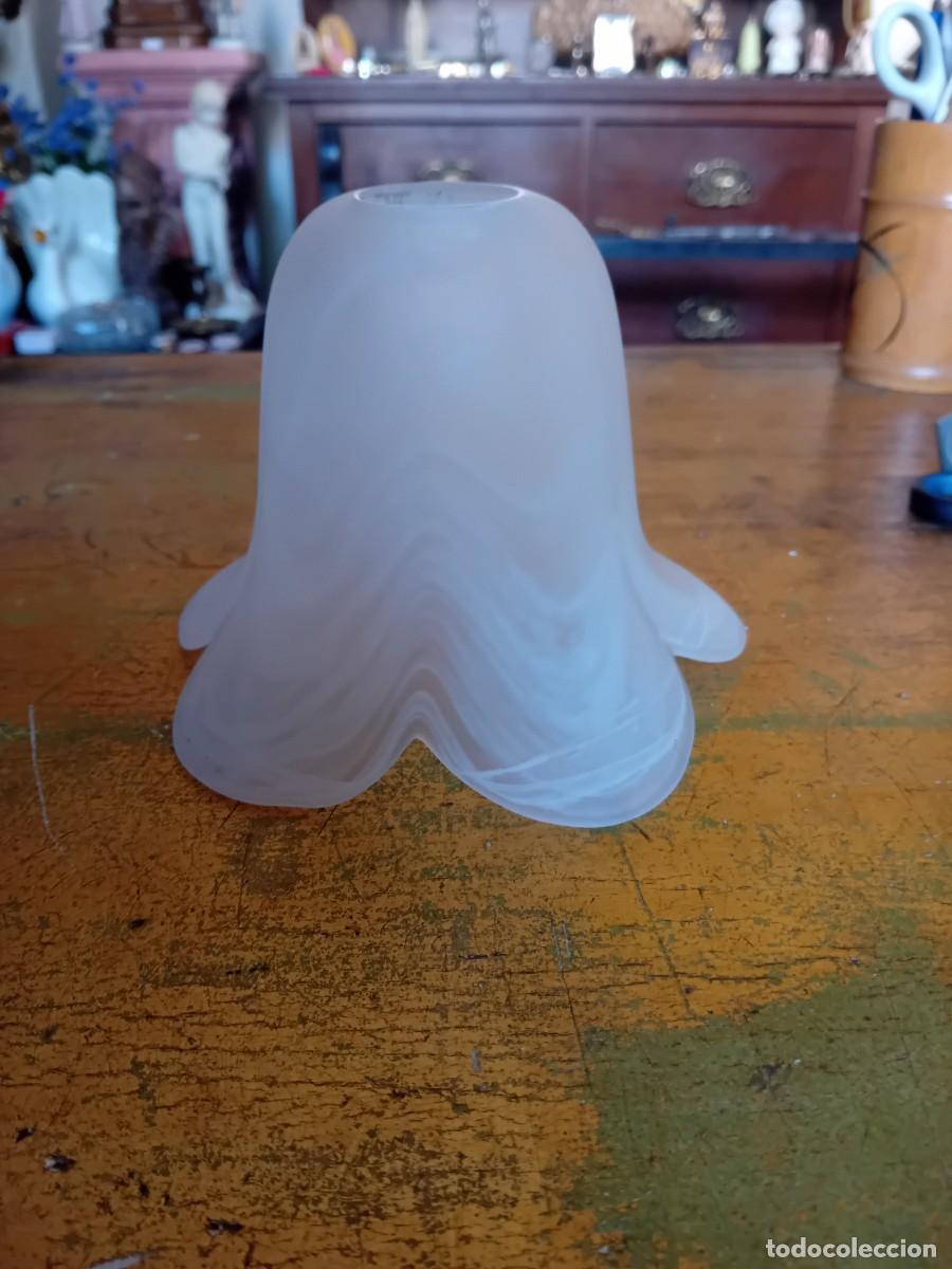 Antig&uuml;edades: Tulipa lobulada y veteada de cristal grueso