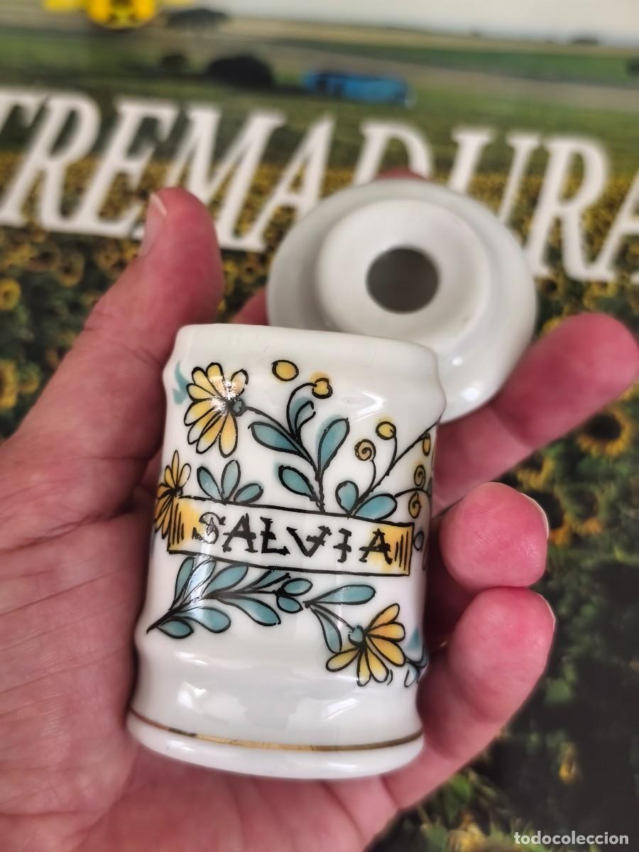 Antig&uuml;edades: Tarrito albarelo &rdquo;SALVIA&rdquo;. Royal Kent. - Foto 5