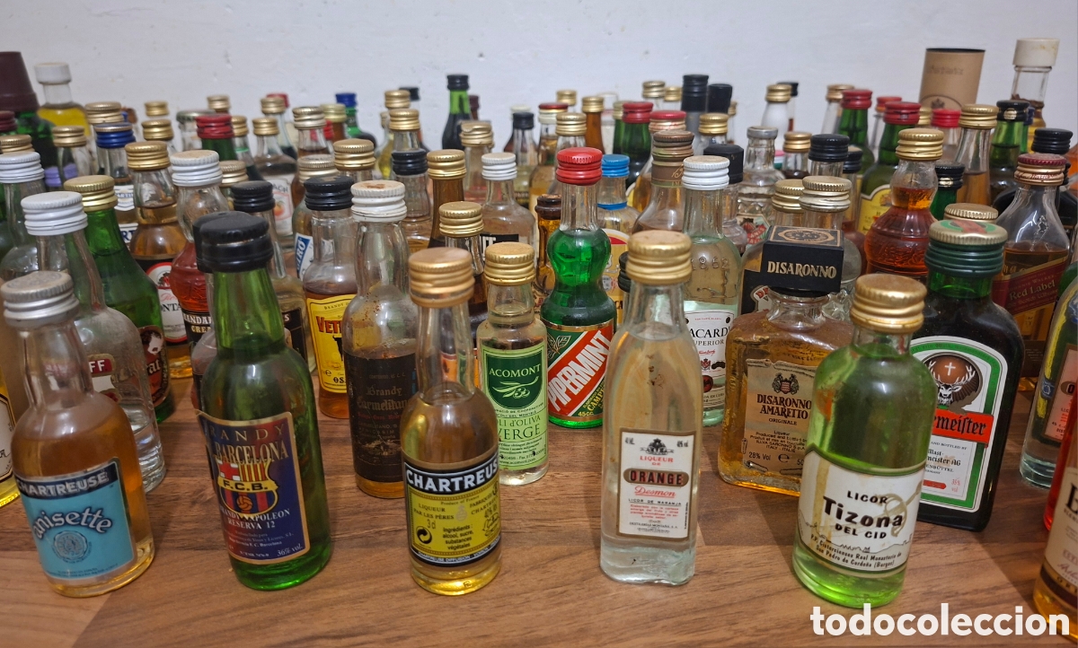 Antig&uuml;edades: Colecci&oacute;n de 150 botellines de licor variado - Foto 4