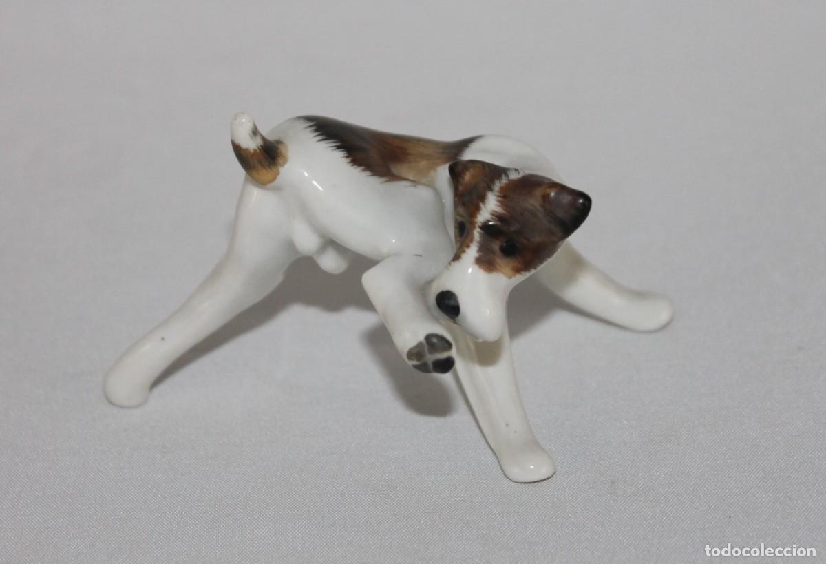 Antig&uuml;edades: Perro Fox Terrier en porcelana alemana Limbach. Siglo XX
