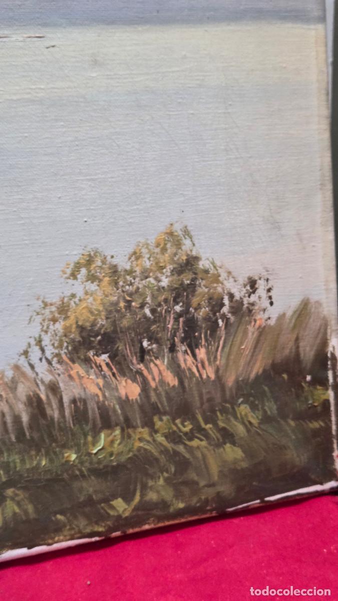 Antig&uuml;edades: lienzo antiguo pintura - Foto 6