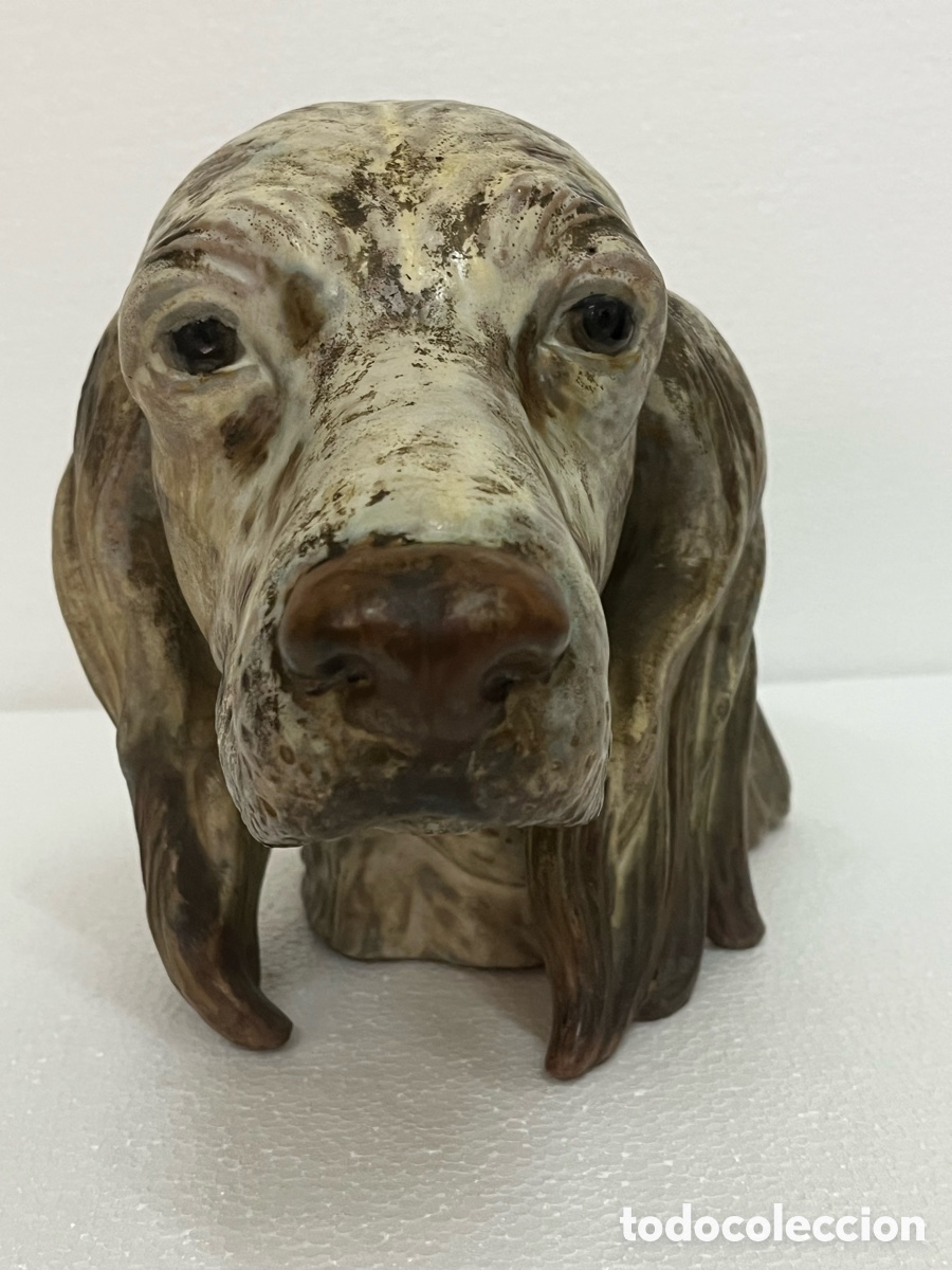 Antig&uuml;edades: &ldquo;CABEZA DE SETTER&rdquo; DE LLADR&Oacute; - Foto 2