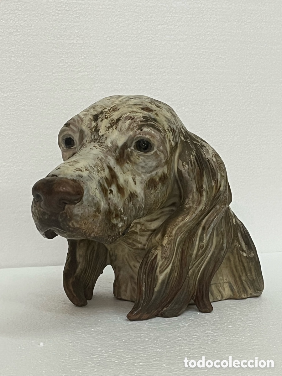 Antig&uuml;edades: &ldquo;CABEZA DE SETTER&rdquo; DE LLADR&Oacute; - Foto 4