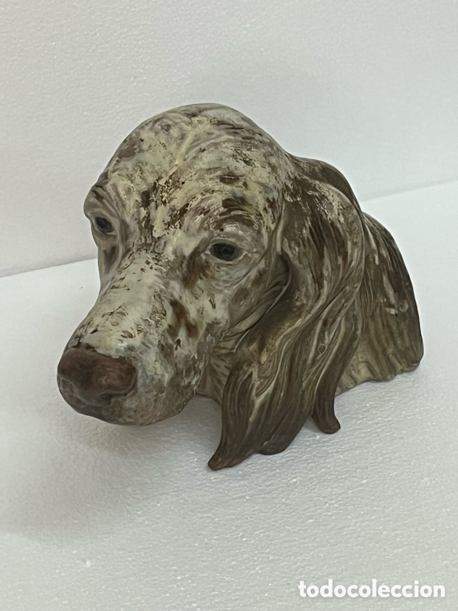 Antig&uuml;edades: &ldquo;CABEZA DE SETTER&rdquo; DE LLADR&Oacute; - Foto 5