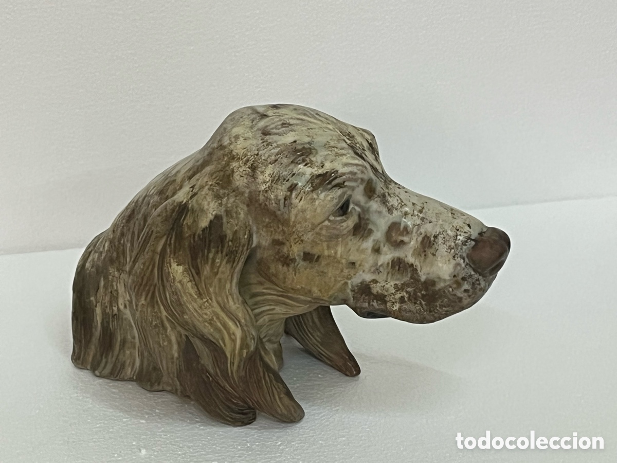 Antig&uuml;edades: &ldquo;CABEZA DE SETTER&rdquo; DE LLADR&Oacute; - Foto 8