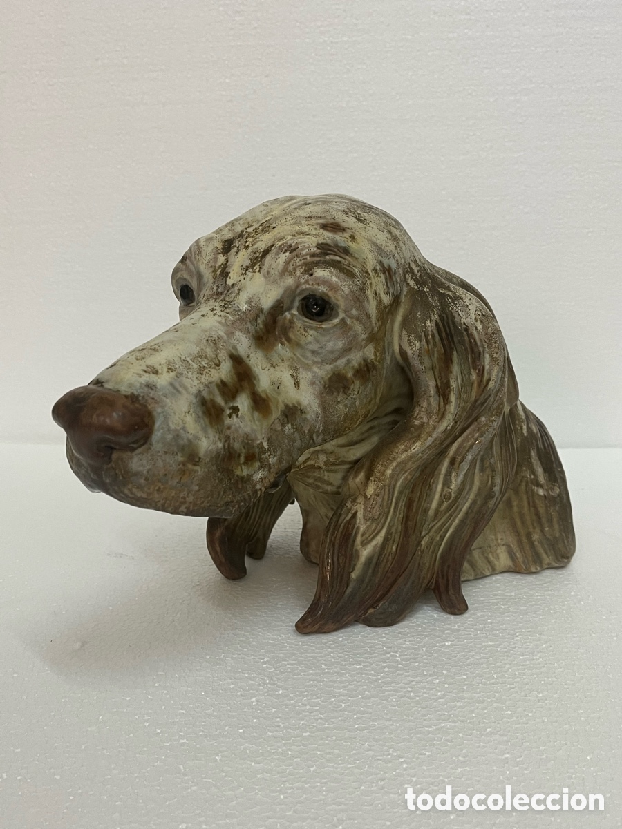 Antig&uuml;edades: &ldquo;CABEZA DE SETTER&rdquo; DE LLADR&Oacute;