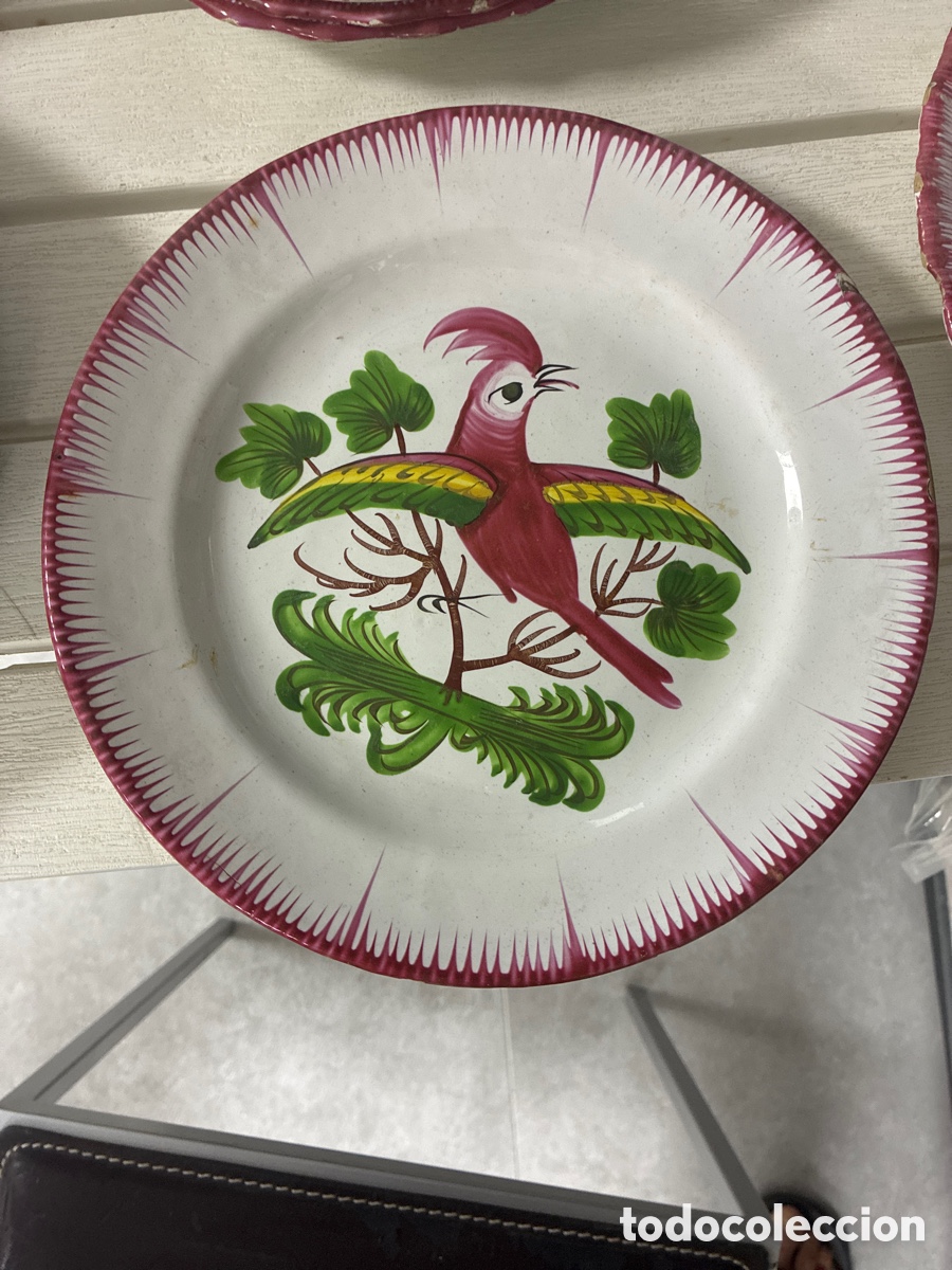 Antig&uuml;edades: Antiguo Plato Loza Francesa S. XIX Les Islettes / St Cl&eacute;ment P&aacute;jaro Cotorra