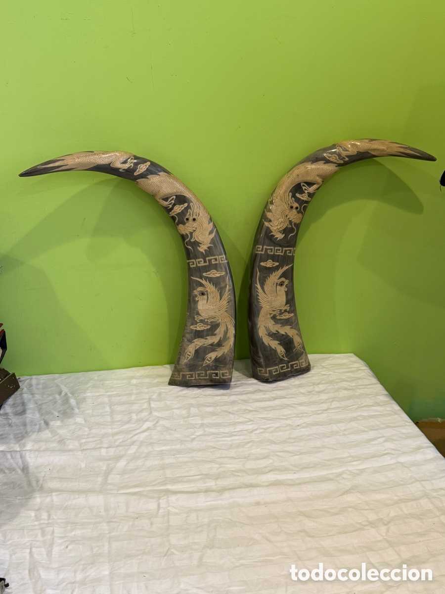 Antig&uuml;edades: Pareja de cuernos de b&uacute;falo tallados con dragones y aves f&eacute;nix &ndash; decoraci&oacute;n oriental siglo XX