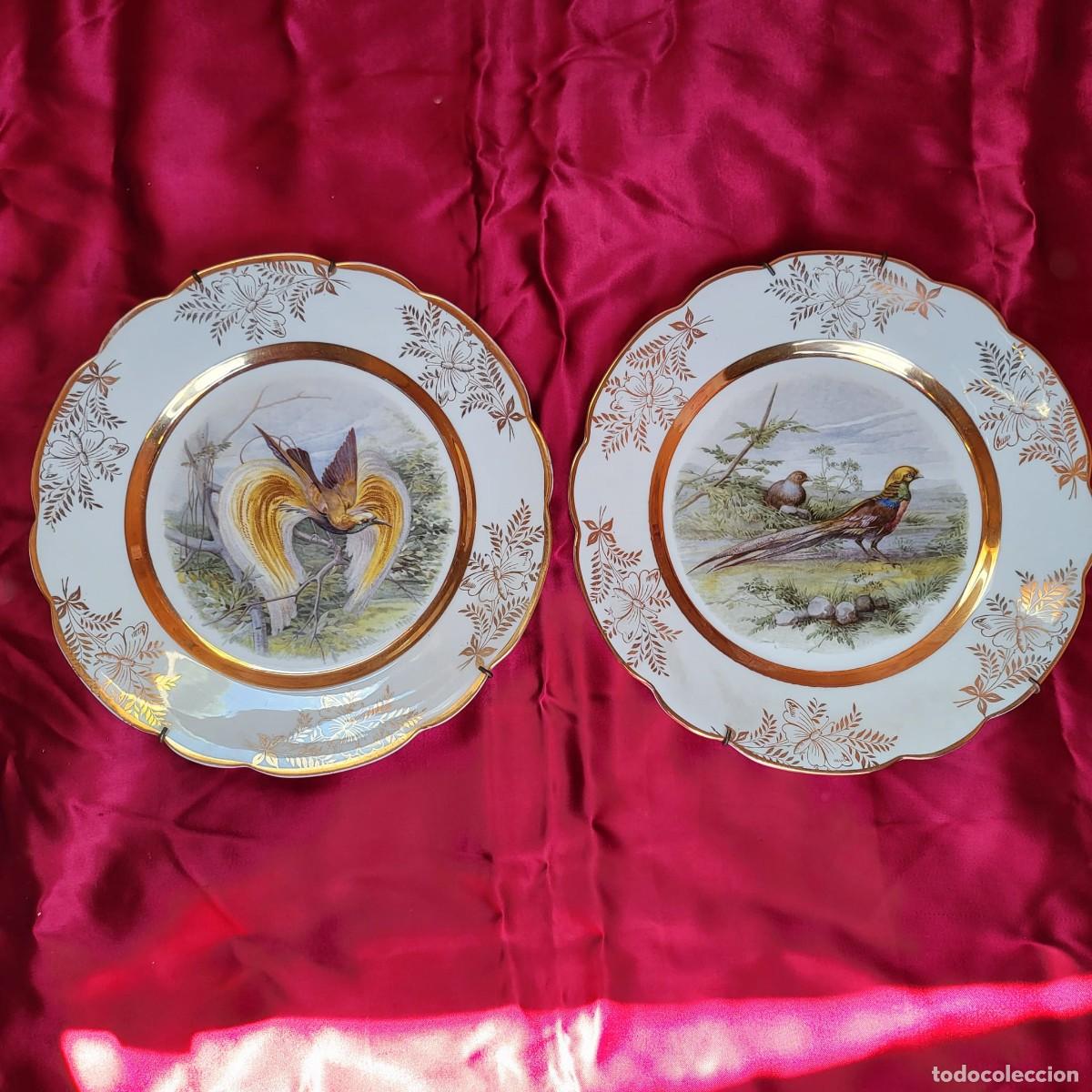 Antig&uuml;edades: Pareja de platos Decorativos Porcelana C.P Limoges (Francia) Ave y oro-Vintage