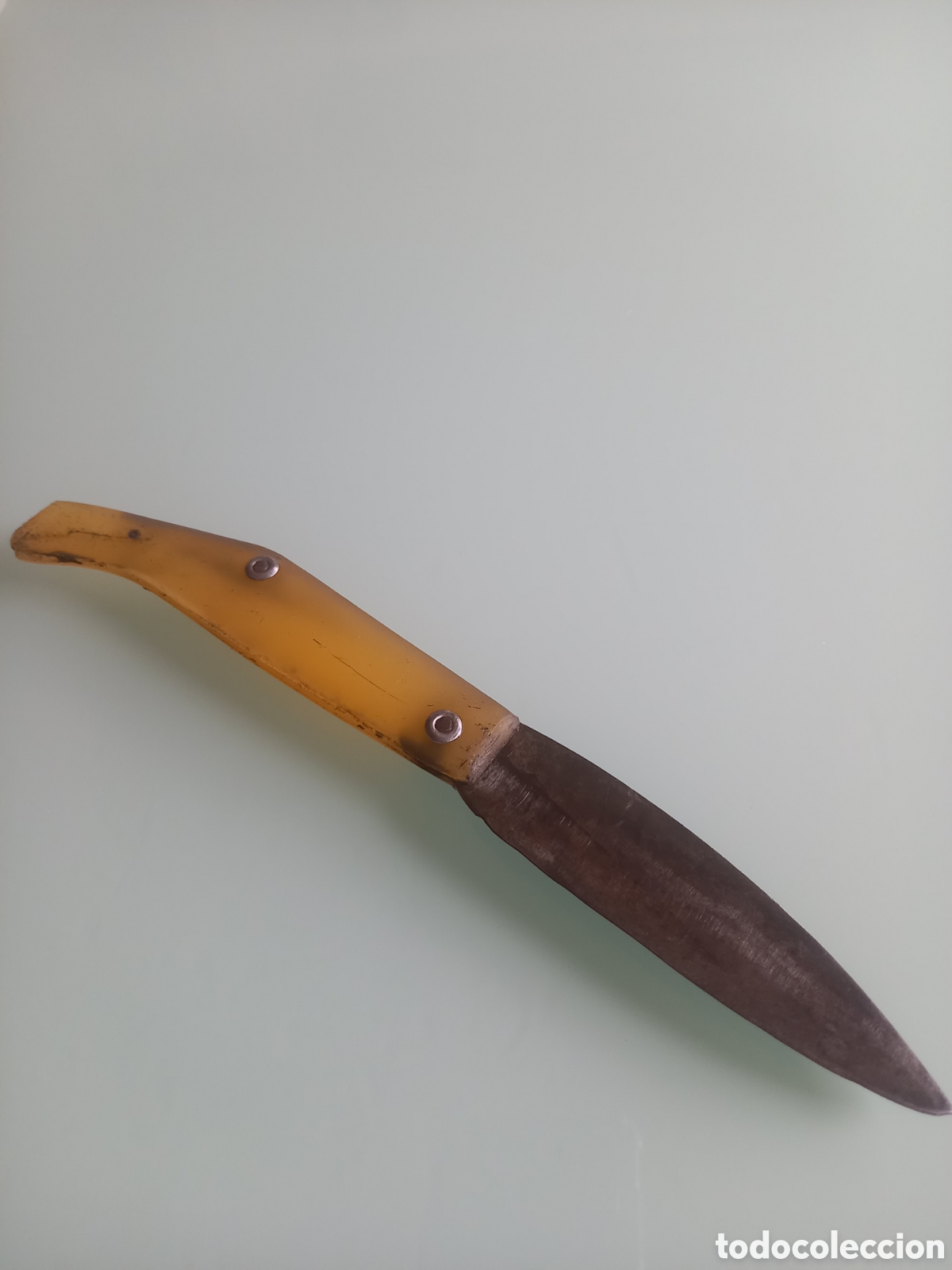 Antig&uuml;edades: Navaja Pallar&egrave;s Solsona Vintage - Cuerno de Buey y Acero Carbono