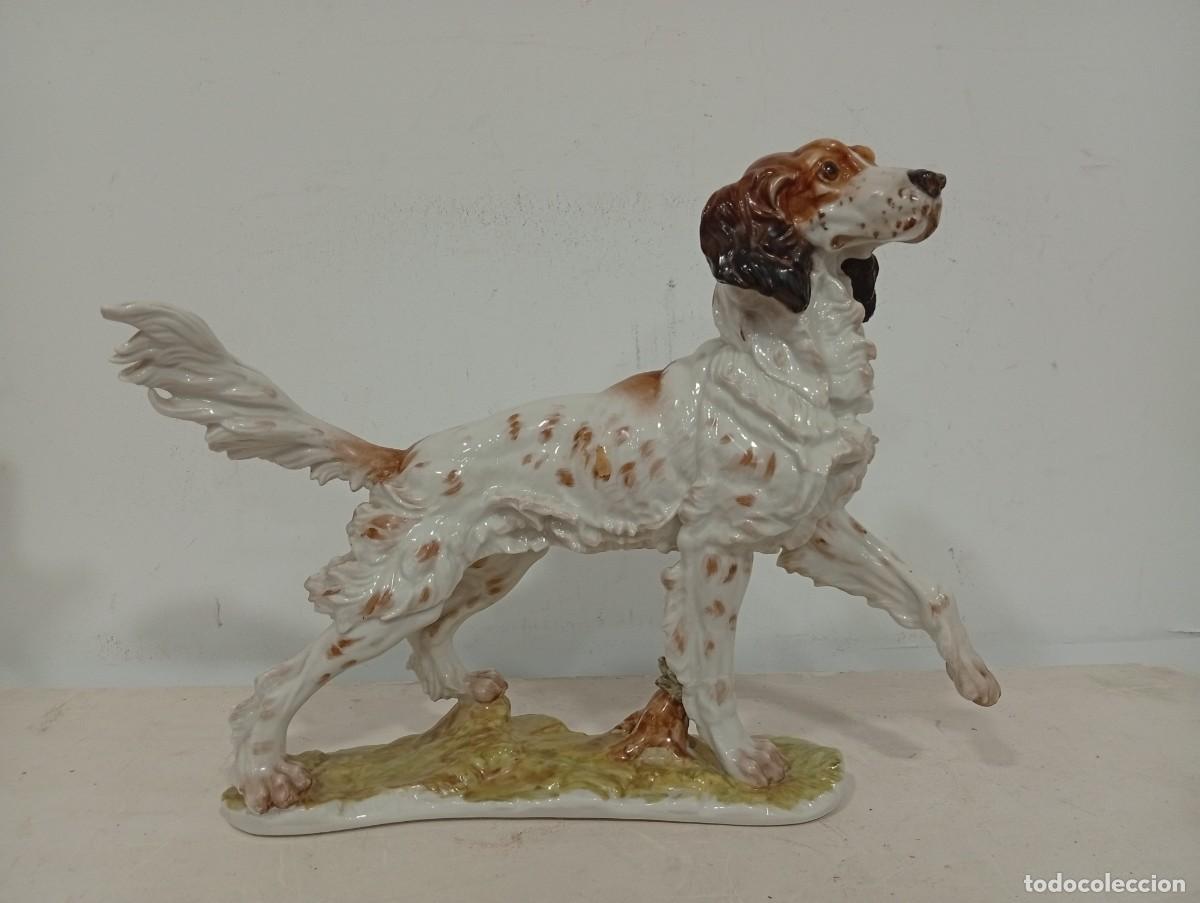 Antig&uuml;edades: Perro Setter de porcelana de Algora. En perfecto estado