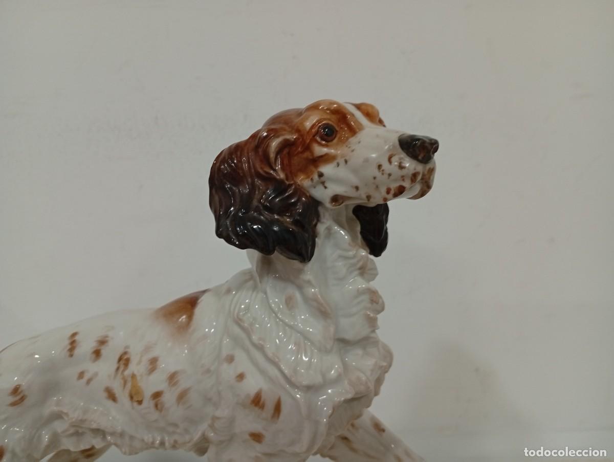 Antig&uuml;edades: Perro Setter de porcelana de Algora. En perfecto estado - Foto 2